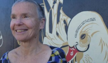 New Zealand tourist trampled by elephant on Zambia walking safari died by misadventure - coroner