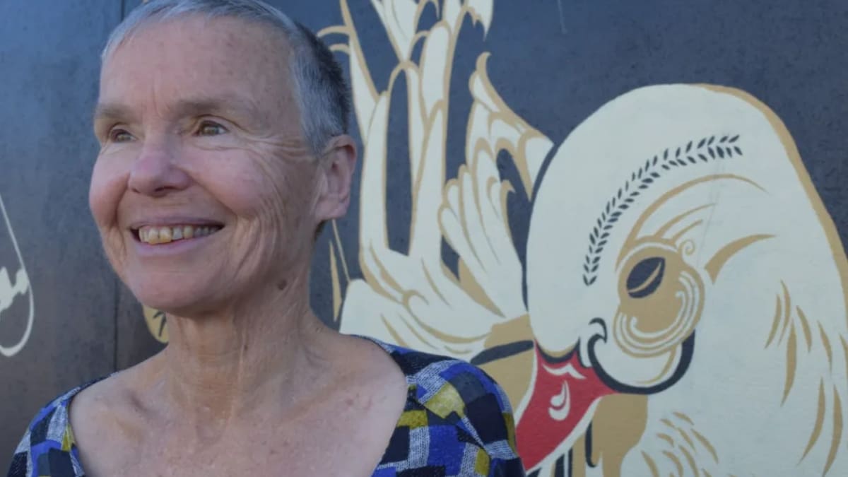 New Zealand tourist trampled by elephant on Zambia walking safari died by misadventure - coroner