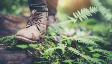 Whangārei paper road dispute: Hunter, neighbours clash over guns and access