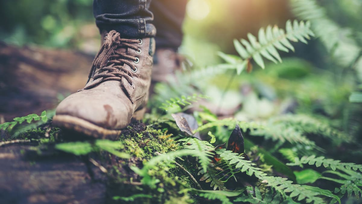 Whangārei paper road dispute: Hunter, neighbours clash over guns and access