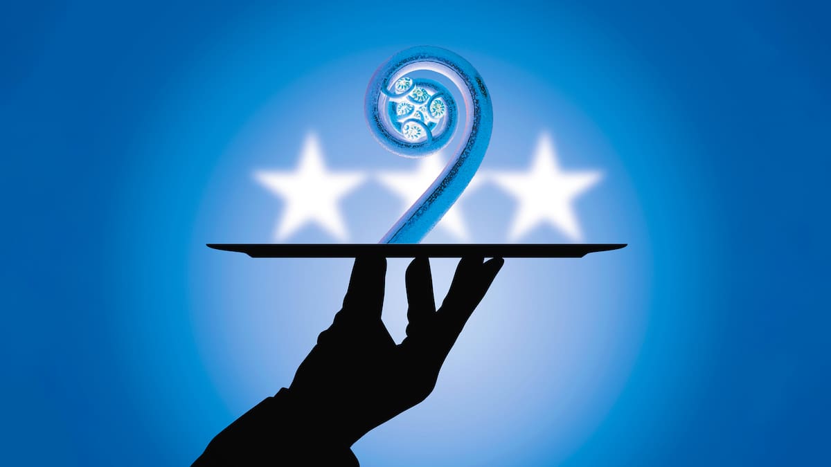 Inside the secret $6.3m plan to get New Zealand a Michelin star