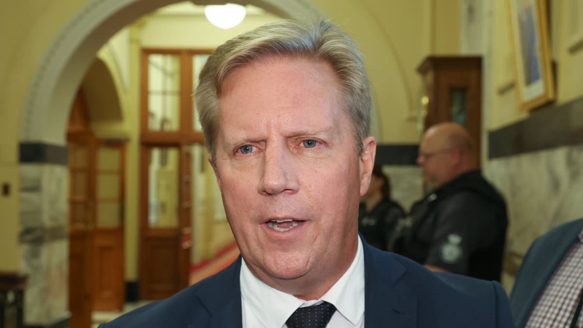 Labour warns Govt not to sign FTA with India yet as deal text allegedly contradicts public statements