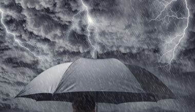 Winter downturn: Economic recovery now ‘unlikely’ until 2027 - ASB