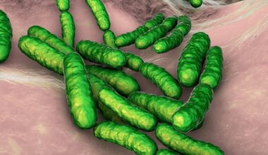 Study: The vaginal microbiome in pregnancy and preterm birth: mechanisms, disparities, and therapeutic opportunities. Image Credit: Kateryna Kon / Shutterstock