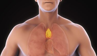 Study: Thymic health consequences in adults. Image Credit: Nerthuz / Shutterstock