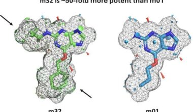 Optibrium introduces graphical interface for QuanSA to enhance ligand-based affinity predictions