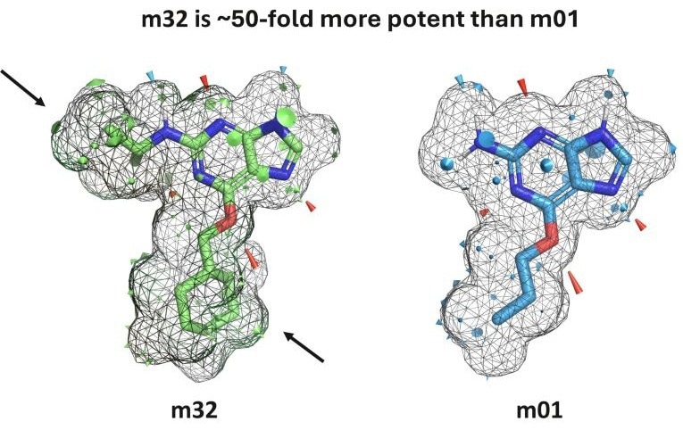 Optibrium introduces graphical interface for QuanSA to enhance ligand-based affinity predictions