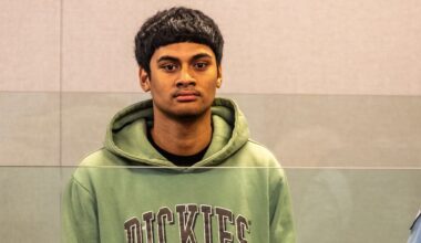 Pt England death: Joseph Patolo pleads guilty to manslaughter of Auckland businessman Ahmed Al-Obaidy