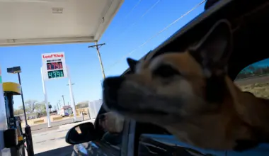 Consumer sentiment falls as Iran war pushes gas prices and mortgages up