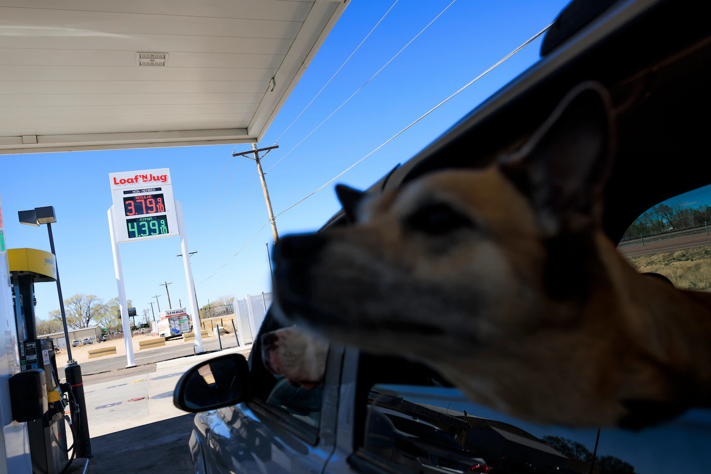 Consumer sentiment falls as Iran war pushes gas prices and mortgages up