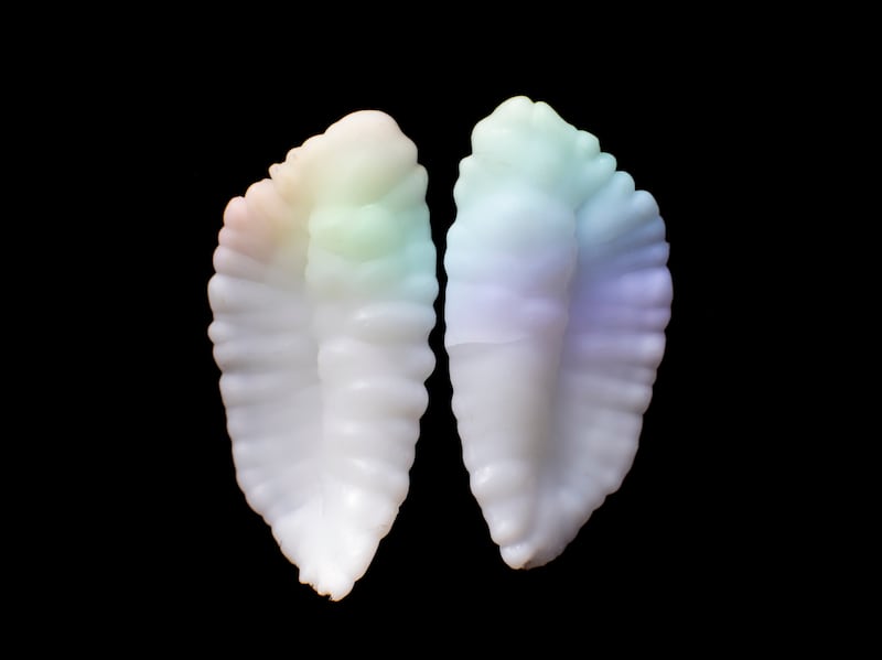 The Ocean Within. Photograph: Yvette Monahan