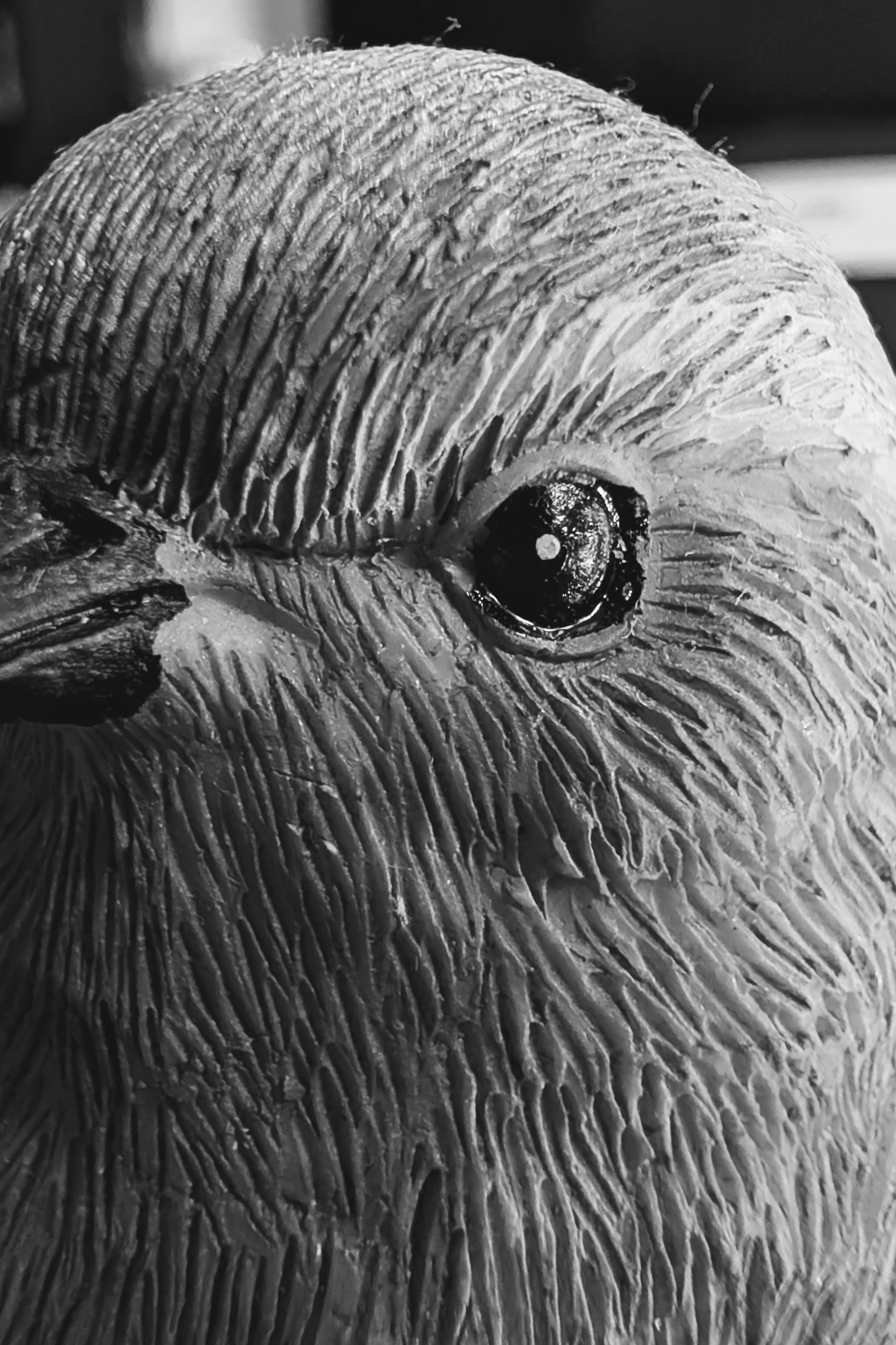 Leica Q3 Monochrom vs Google Pixel 10 Pro XL comparison