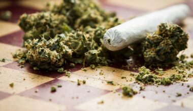 Cannabis possession charges surge 50% in two years, to 8‑year high