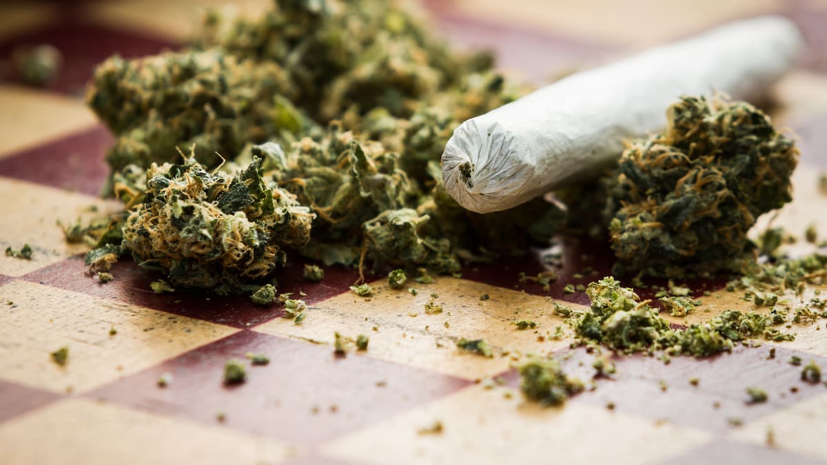 Cannabis possession charges surge 50% in two years, to 8‑year high