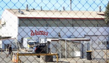 What Wattie’s frozen veg exit could mean for arable and seed growers