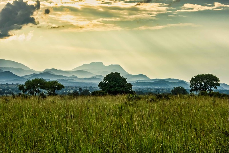Kidepo Valley National Park. Image by Rod Waddington via Flickr (CC BY-SA 2.0)