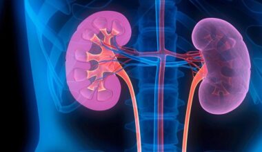 How unregulated herbal remedies may contribute to chronic kidney disease - The South First