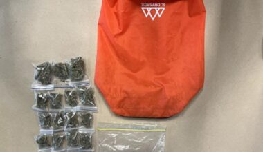 Two 16-year-olds arrested after Southland op shop ‘donation’ leads to cannabis, weapon and $4k cash haul