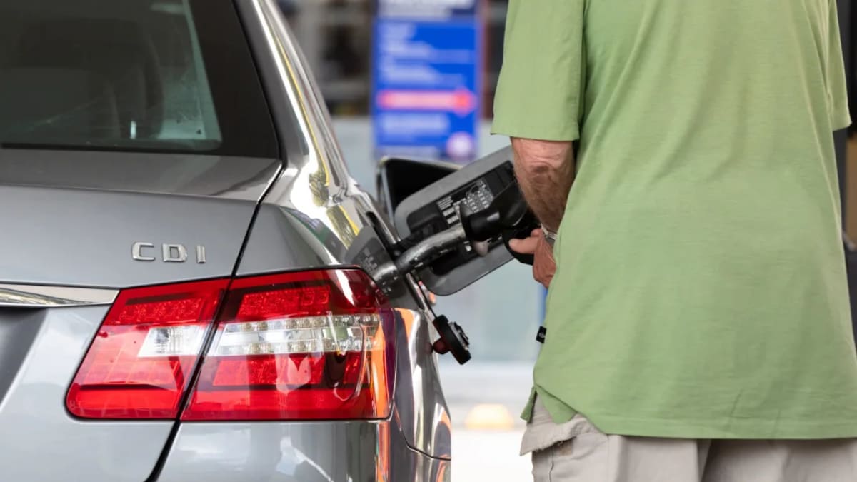 New Zealand prices of ‘anything attached to fuel’ will rise, logistics boss warns