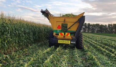 McCain Hastings plant closure: Hawke’s Bay growers warn of bigger crisis, say now’s the time for overhaul