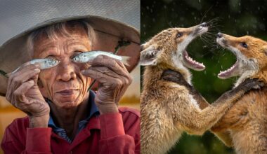 The Wonderful Winners of the LCE Photography of the Year Competition