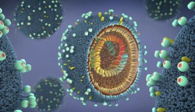 Epidemiologist says influenza vaccine can reduce risk of heart attacks