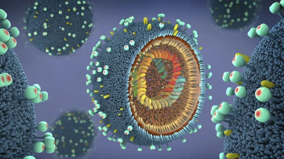 Epidemiologist says influenza vaccine can reduce risk of heart attacks