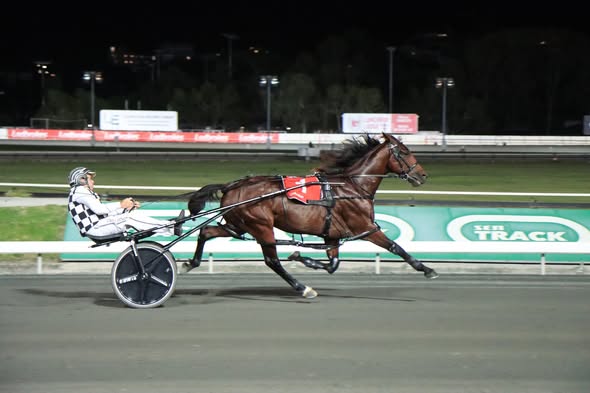 Leap To Fame tip top for New Zealand raid