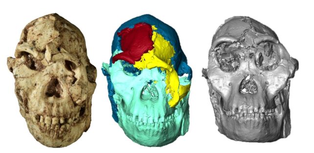 Scientists Reconstruct The Face of One of Our Most Ancient Relatives