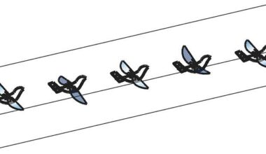 Rutgers researchers develop motor-free flapping wing drone