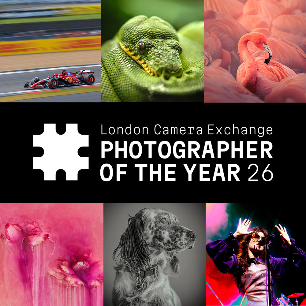 Collage showcasing diverse themes: a speeding car, coiled green snake, flamingos, abstract pink flowers, a dog, and a musician. Text: "London Camera Exchange Photographer of the Year 26"