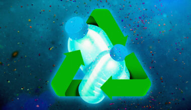 Ocean bacteria team up to break down biodegradable plastic | MIT News