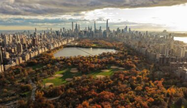 Herald morning quiz: March 16 - New Zealand News