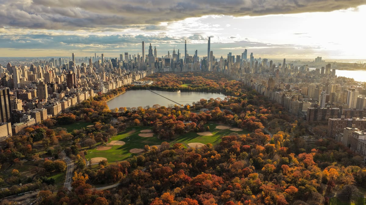 Herald morning quiz: March 16 - New Zealand News