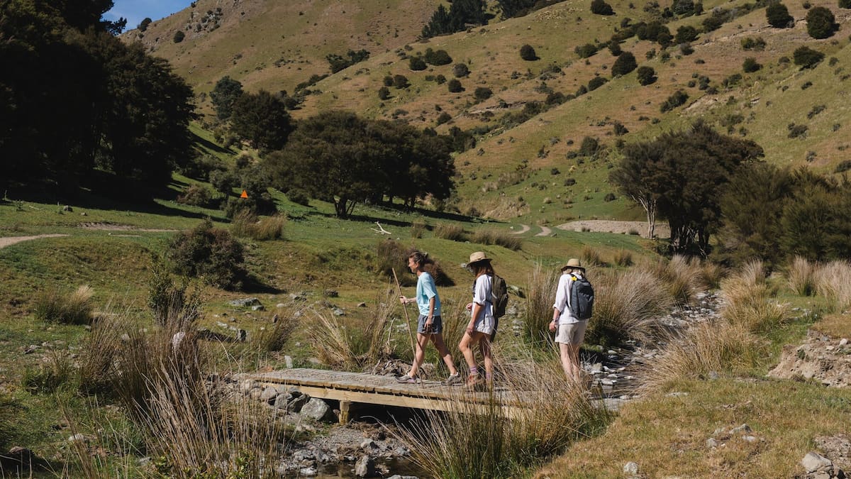 Aschworth High Country Station Offers A Challenging New Luxury Multi Day Hike In Blenheim backcountry