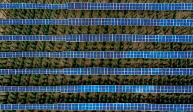 Morocco secures funding, signs power deals for 305MW Noor Atlas solar programme