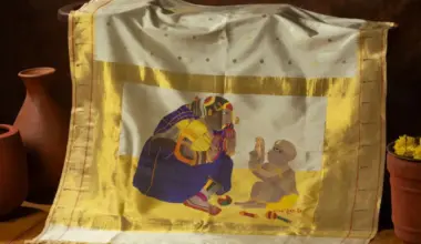 Museum Exhibit: A CA Wildfire Inspires The Transformation Of The Saree Into A Fine Art Canvas