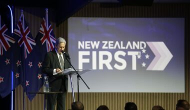 Adam Pearse: Winston Peters’ newest candidate makes a stuttering start but could solve NZ First’s dilemma