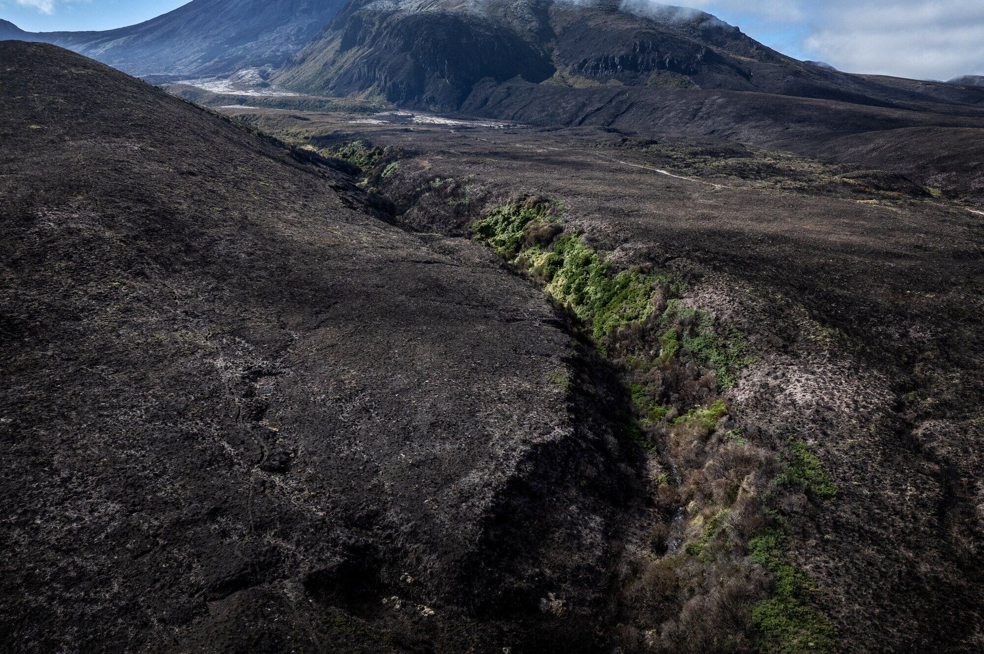 Scorched slopes lead into the Mangatepopo Valley but there are pockets of fresh growth in stream beds where fire never reached. Photo / Mike Scott