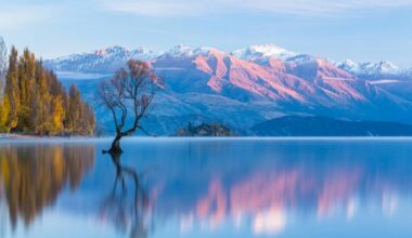 ‘I’m going to have to leave NZ by 2028’: Sam Blackman