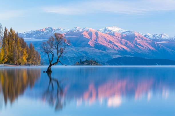 ‘I’m going to have to leave NZ by 2028’: Sam Blackman