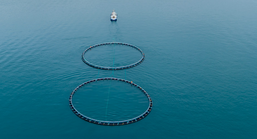 New Zealand King Salmon confirms Bennett as permanent CFO