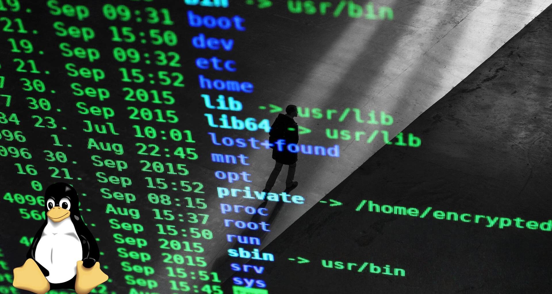 A screenshot of a Linux directory listing with a picture of Tux, the Linux mascot, in the corner; a person is walking in the reflection on the screen.