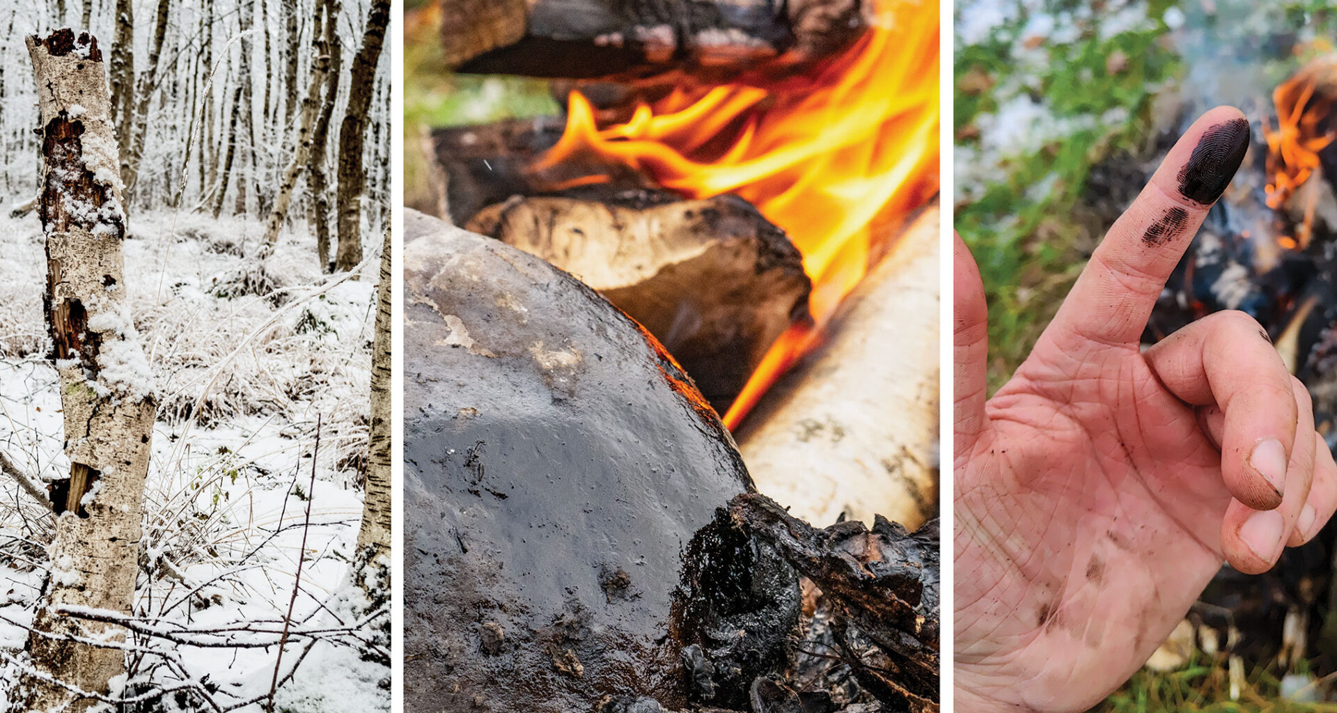 Neanderthals may have used a prehistoric glue as a topical antibiotic