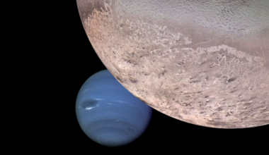 Neptune’s Obliquity Was Likely Engendered By Triton’s Tidal Evolution