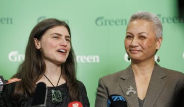 Green Party suggests axing infrastructure projects, mainly in Auckland, to make public transport free for three months