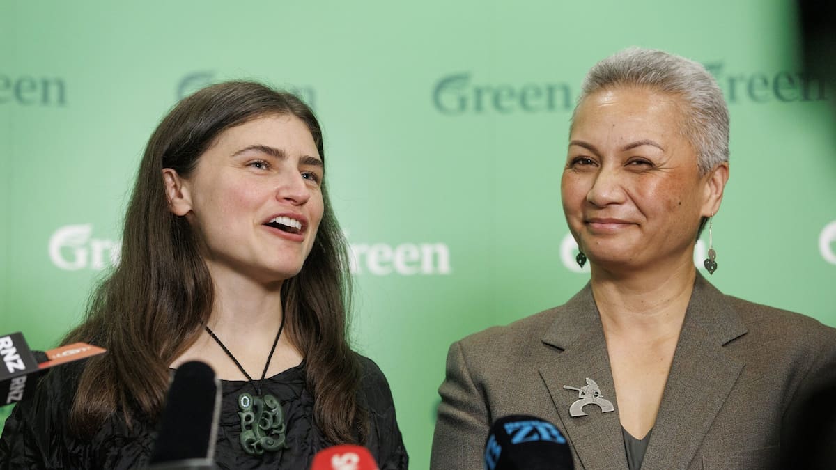 Green Party suggests axing infrastructure projects, mainly in Auckland, to make public transport free for three months