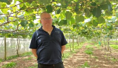 Alan Dobbie of Wiroa Horticulture wins Northland Ballance Farm Environment Awards 2026