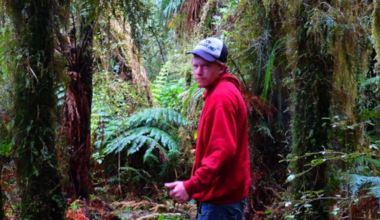 Coroner: Christchurch prison bullying of Alexander Nicholls-Braddock contributed to suicide