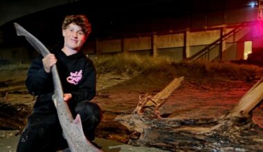 Christchurch teenage fisherman hooks 2m shark off New Brighton Pier